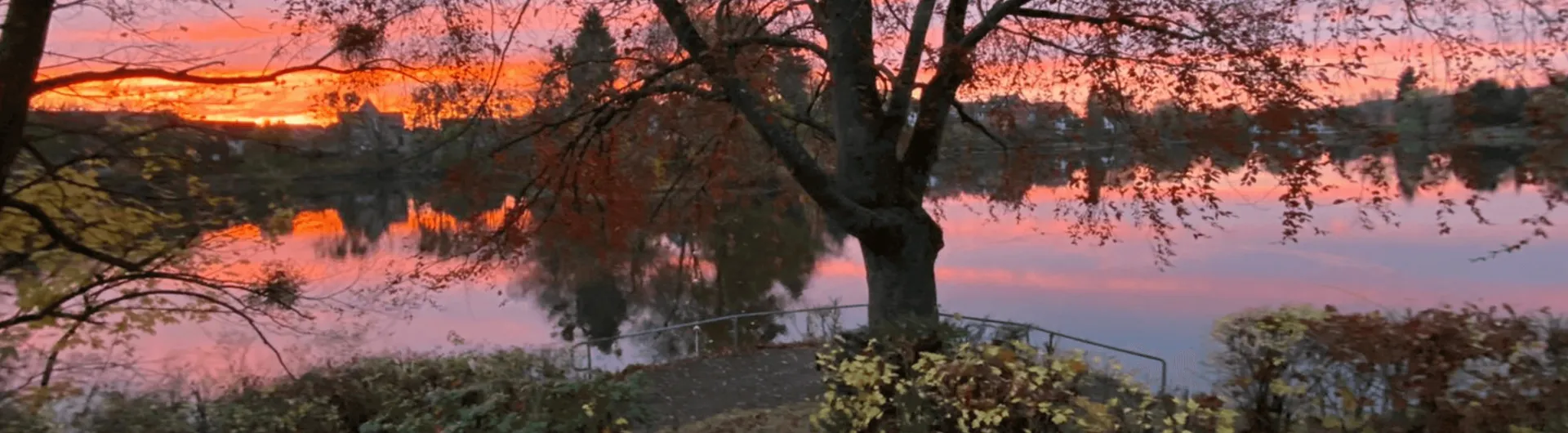 Abendsonne am Juessee (Angelika Kiep) Banner Juessee Abendsonne