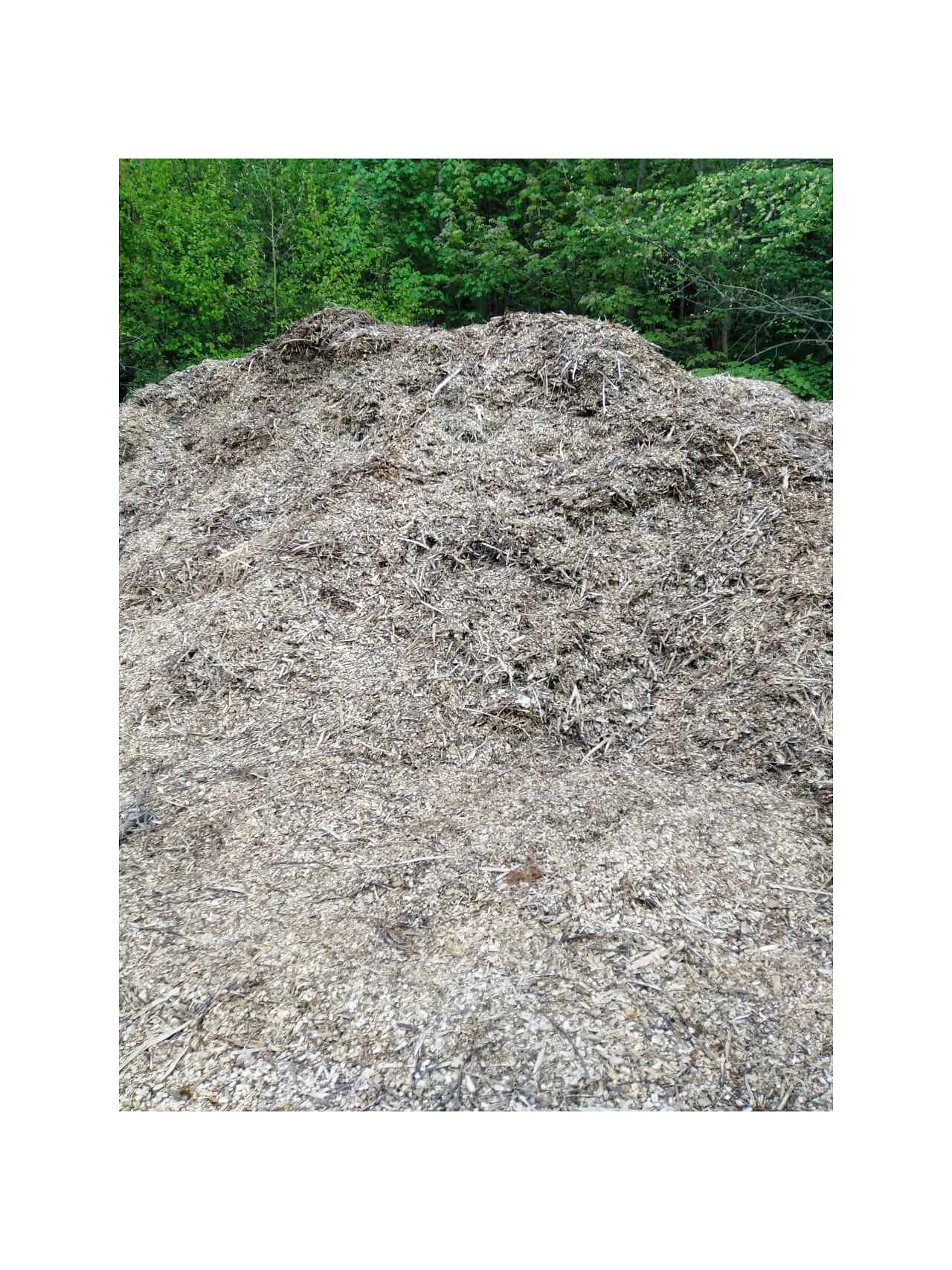 Der Städtische Bauhof Herzberg am Harz bietet ungenutztes Scheddermarterial (sog. Hackschnitzel) für Bürger*innen zum Verkauf an.&nbsp;&copy;&nbsp;Stadt Herzberg am Harz