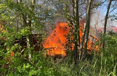 Foto 2 30.05.2021 Feuerwehr Herzberg – Presseinformation Brand einer Gartenlaube am Herzberger Bahnhof unter einer Hochspannungsleitung 30.05.2021 Feuerwehr Herzberg – Presseinformation Brand einer Gartenlaube am Herzberger Bahnhof unter einer Hochspannungsleitung