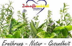 info-grafik Zukunfstwerkstatt - Kräuterküche Ernährung - Natur - Gesundheit
