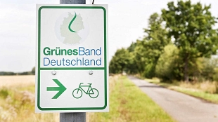 Grünes Band&nbsp;&copy;&nbsp;Infografik