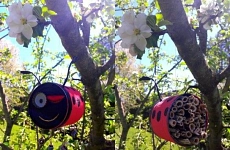 Kreative Ideen für den Garten. Kreative Ideen für den Garten.