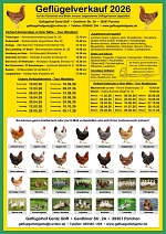 409be082-bbd5-4edd-b242-4d44ef63d1c3.jpeg