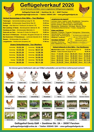 409be082-bbd5-4edd-b242-4d44ef63d1c3.jpeg