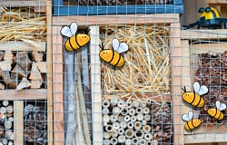 FP029 Wir bauen kleine Insektenhotels für unsere Wildbienen.jpg